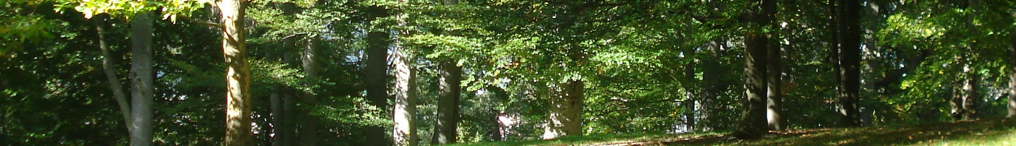 Smart Health, Better Living